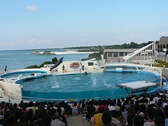 P1020759