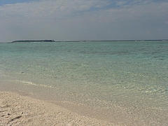 P1020584