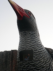 P1020851
