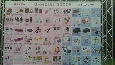 IMAG0251
