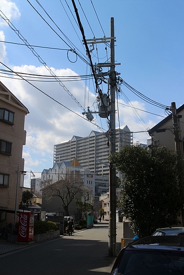 IMG_0798_R IMG_0798_R