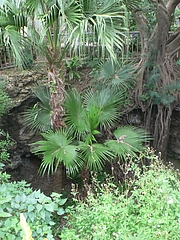 P1020895