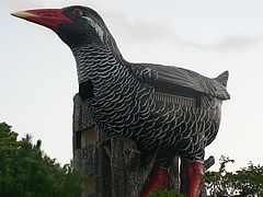 P1020828