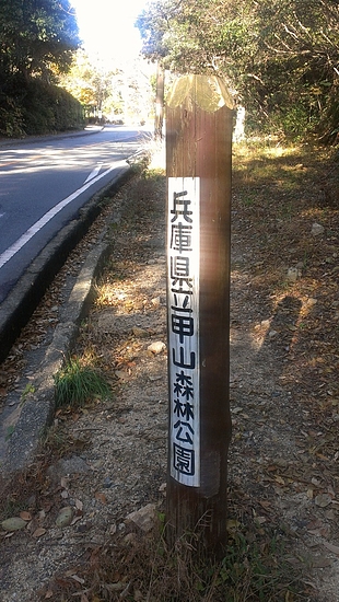 IMAG1217 IMAG1217