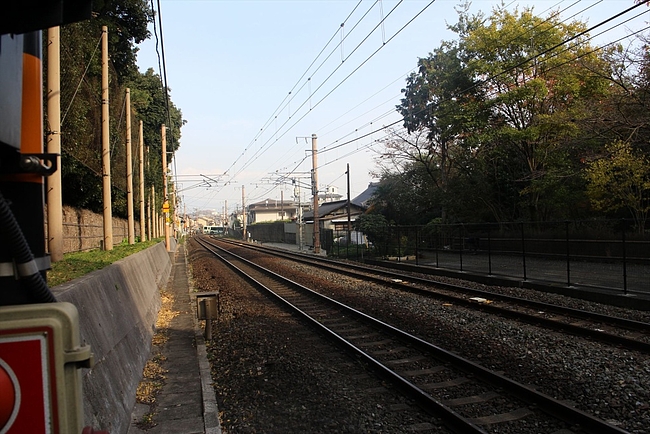 IMG_0536_R IMG_0536_R