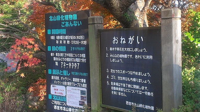 IMAG1312 IMAG1312