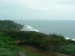 P1020908