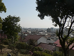 P1030118