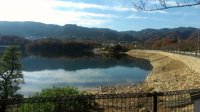 IMAG1301 IMAG1301