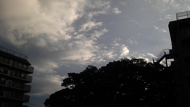 DSC_0100 DSC_0100