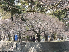 P1030256