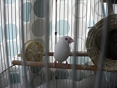 P1030001
