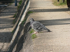 P1030332