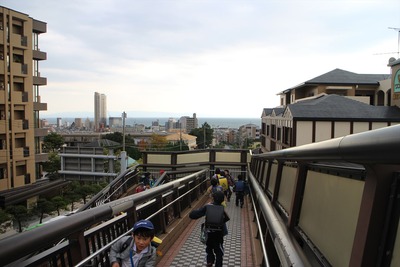 IMG_2336_R