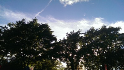 IMAG0217
