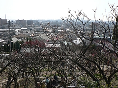 P1030100