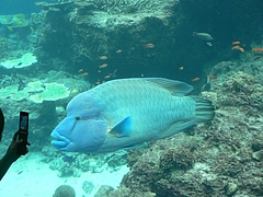 P1020662