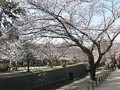 P1030191