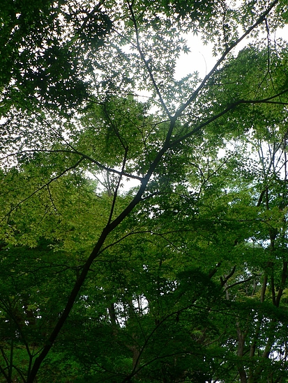 P1090553 P1090553