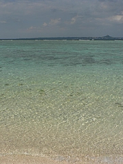 P1020580