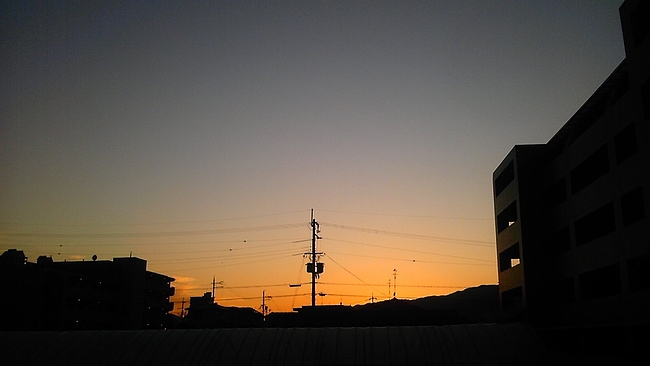 DSC_0055 DSC_0055