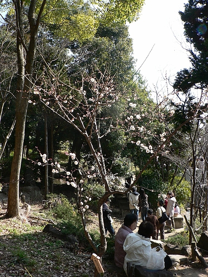 P1080808 P1080808