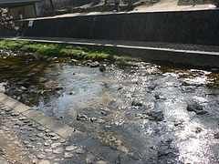 P1030311