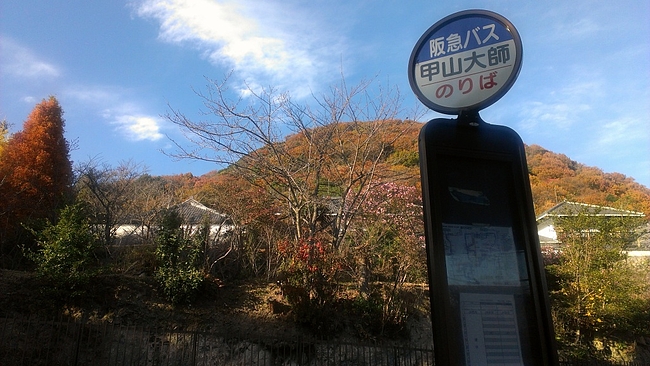 IMAG1270 IMAG1270