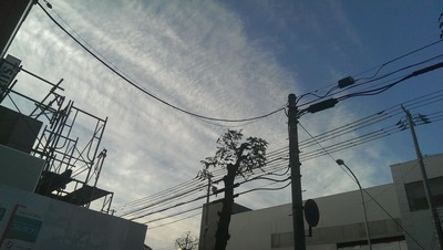 IMAG0265