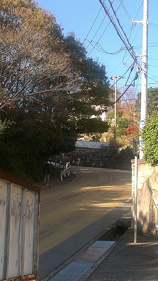 IMAG1211 IMAG1211