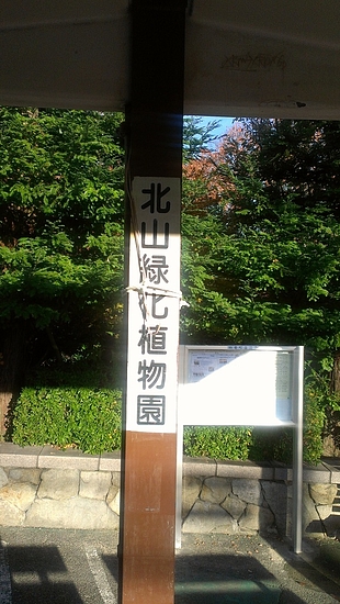 IMAG1318 IMAG1318