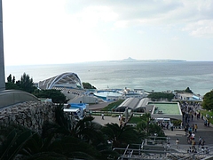 P1020789