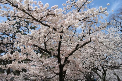 IMG_3169_R