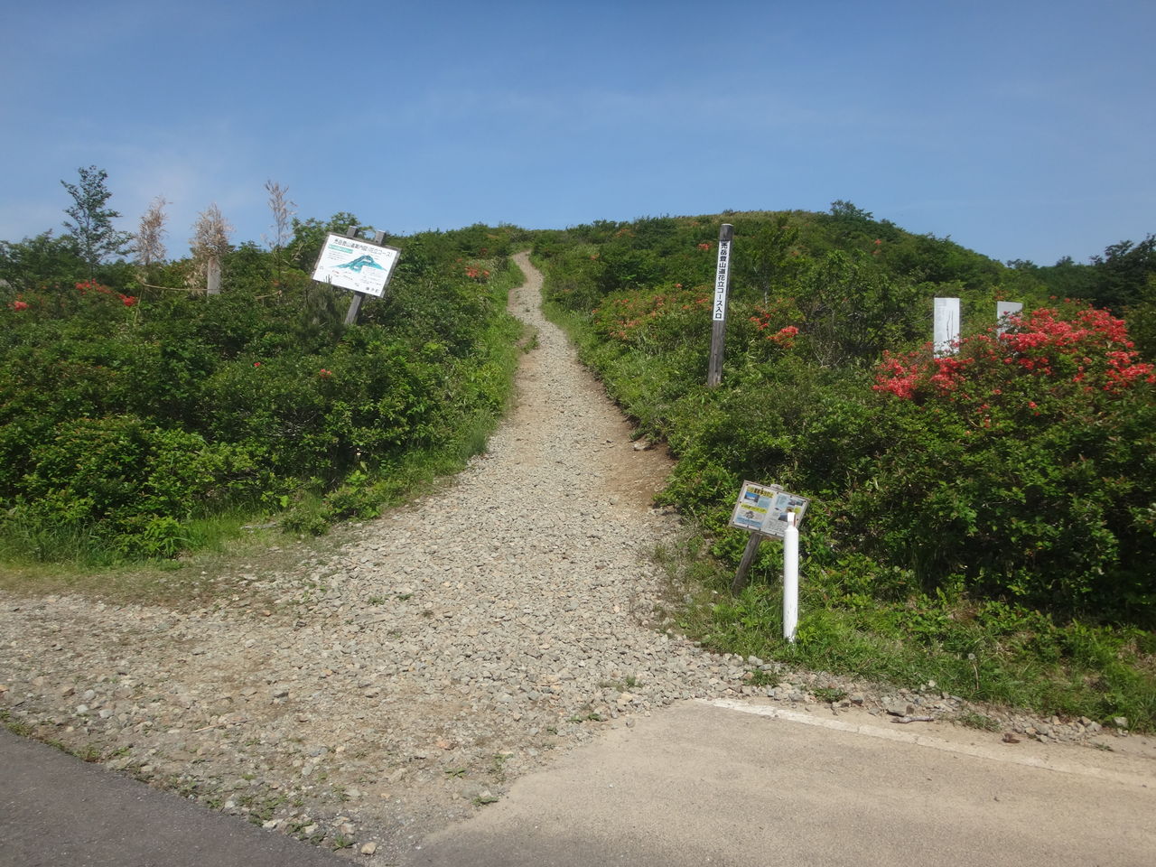 花立峠から禿岳へ レンの森の秘密基地 花立峠から禿岳へ レンの森の秘密基地