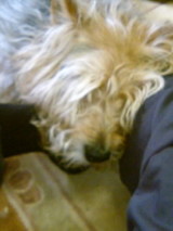 080706����ɨ