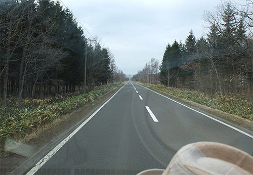 The Big 北海道 旅の記録 その6 なめんぢゃねえっ デーンのりぼんと とうちゃんのブログ The Big 北海道 旅の記録 その6 なめんぢゃねえっ デーンのりぼんと とうちゃんのブログ