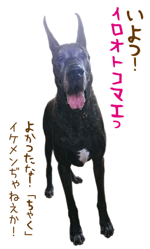 ちゃく さぁ 赤ちゃんをっ デーンのりぼんと とうちゃんのブログ