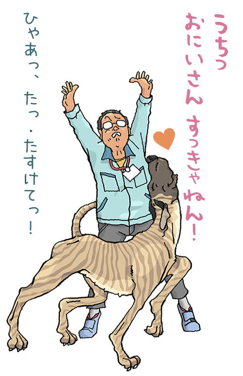 さくら そりゃないぜ デーンのりぼんと とうちゃんのブログ さくら そりゃないぜ デーンのりぼんと とうちゃんのブログ