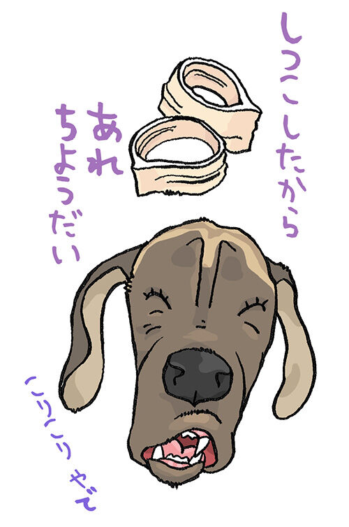 そりゃそうなるよな デーンのりぼんと とうちゃんのブログ そりゃそうなるよな デーンのりぼんと とうちゃんのブログ