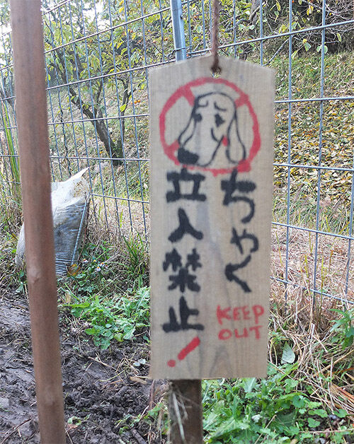 うひゃひゃ やーいぃ ちゃく デーンのりぼんと とうちゃんのブログ うひゃひゃ やーいぃ ちゃく デーンのりぼんと とうちゃんのブログ