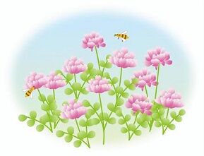 90e86f5e89d0d4a9f912c89d7d8b1a37_t