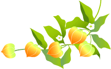 れんげたんぽぽのぶろぐ 17年08月16日