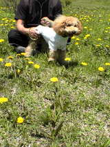 ¤¨¤Ø¤Ø¡Á¢ö