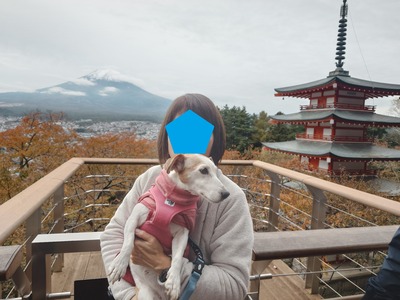 .trashed-1764910559-20251105_101000