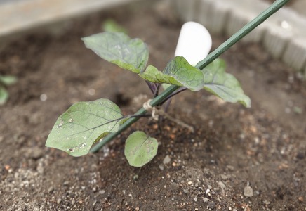 20240502_140049 - コピー