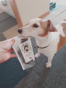 .trashed-1758579265-20250824_065108