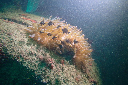 P9280104