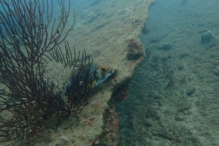 P9280068