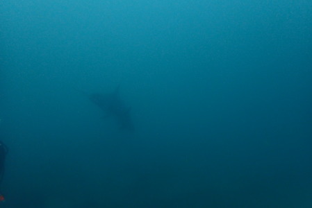 P9280010