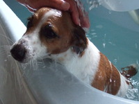 2007.06.30朝風呂 (7)